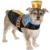 Frisco Royal Pharoah Dog & Cat Costume -The Pet Haven Shop 335114 MAIN. AC SS1800 V1658346560