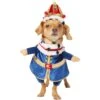 Frisco Front Walking Royal King Dog & Cat Costume 1 Frisco Front Walking Royal King Dog & Cat Costume -The Pet Haven Shop 335127 MAIN. AC SS1800 V1658342828