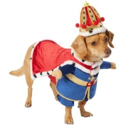 Frisco Front Walking Royal King Dog & Cat Costume -The Pet Haven Shop 335127 PT3. AC SS1800 V1658346228