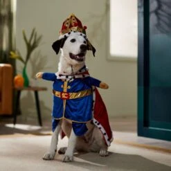 Frisco Front Walking Royal King Dog & Cat Costume -The Pet Haven Shop 335127 PT7. AC SS1800 V1659037728