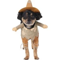 Frisco Front Walking Scarecrow Dog & Cat Costume