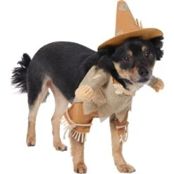 Frisco Front Walking Scarecrow Dog & Cat Costume -The Pet Haven Shop 335135 PT3. AC SS1800 V1658349680