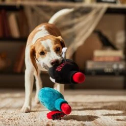 Frisco Halloween Elixirs Plush Squeaky Dog Toy -The Pet Haven Shop 344004 PT3. AC SS1800 V1689878498