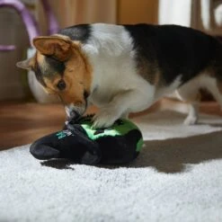 Frisco Halloween Bad Witch Round Plush Squeaky Dog Toy -The Pet Haven Shop 344006 PT3. AC SS1800 V1657657029