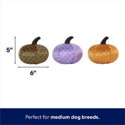 Frisco Halloween Bougie Pumpkins Plush Squeaky Dog Toy 8 Frisco Halloween Bougie Pumpkins Plush Squeaky Dog Toy -The Pet Haven Shop 344016 PT1. AC SS1800 V1689877467