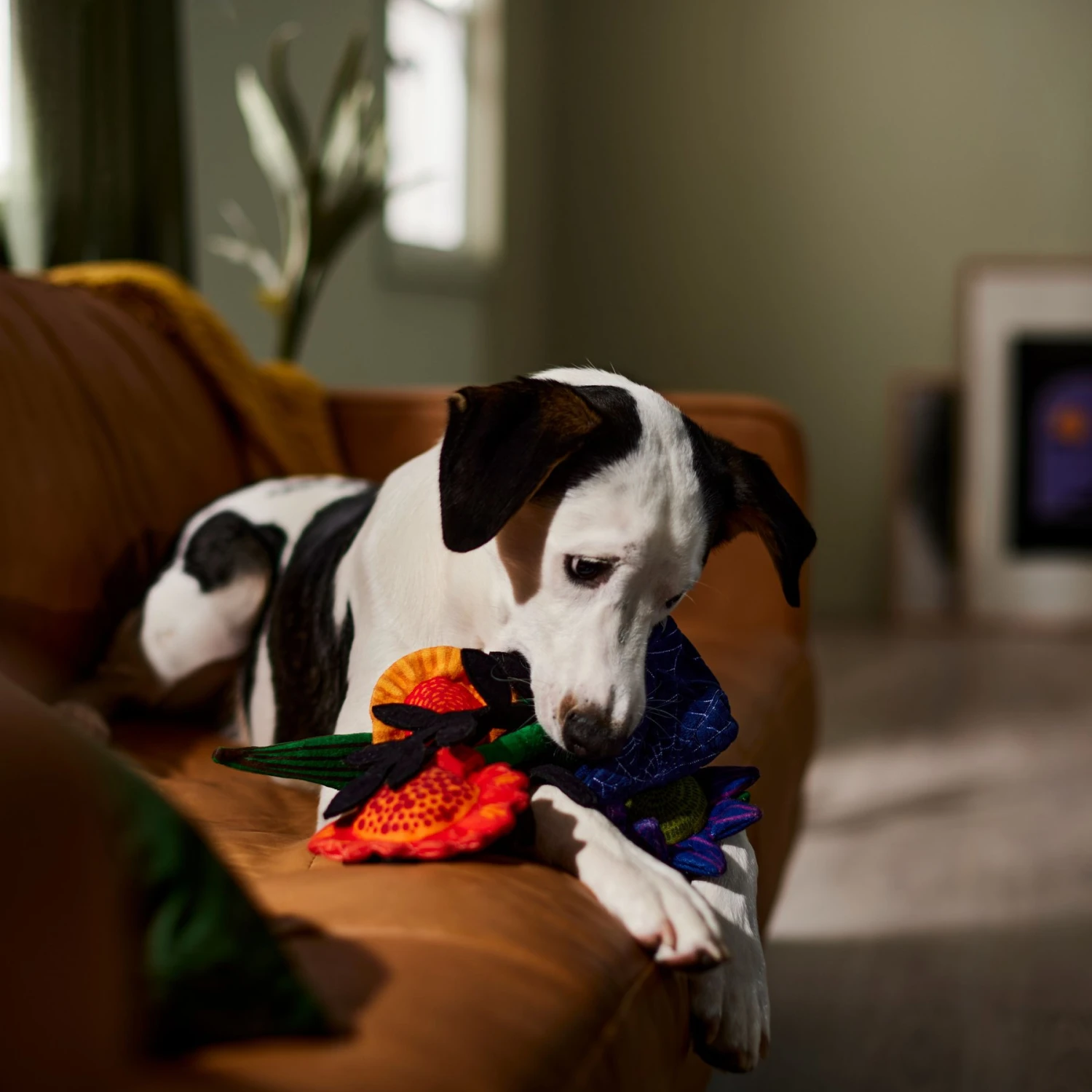 Frisco Halloween Bouquet Plush Squeaky Dog Toy 5 Frisco Halloween Bouquet Plush Squeaky Dog Toy - Image 3