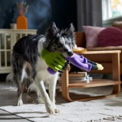 Frisco Halloween Candelabra Plush Squeaky Dog Toy 9 Frisco Halloween Candelabra Plush Squeaky Dog Toy -The Pet Haven Shop 344022 PT3. AC SS1800 V1657657031