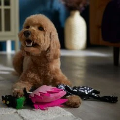 Frisco Halloween Flamingo Plush Squeaky Dog Toy -The Pet Haven Shop 344123 PT3. AC SS1800 V1657657035