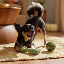 Frisco Halloween Glow In The Dark TPR Squeaky Bone & Ball Dog Toy -The Pet Haven Shop 344130 PT3. AC SS1800 V1657657042