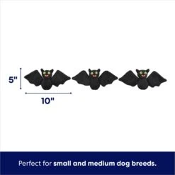 Frisco Halloween Haunted House Hide & Seek Puzzle Plush Squeaky Dog Toy -The Pet Haven Shop 344136 PT2. AC SS1800 V1690911191