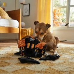 Frisco Halloween Haunted House Hide & Seek Puzzle Plush Squeaky Dog Toy -The Pet Haven Shop 344136 PT3. AC SS1800 V1657657042