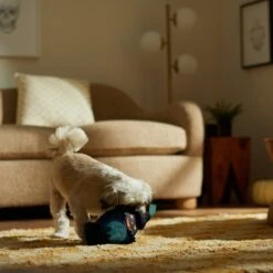 Frisco Halloween Lantern Ballistic Nylon Plush Squeaky Dog Toy 9 Frisco Halloween Lantern Ballistic Nylon Plush Squeaky Dog Toy -The Pet Haven Shop 344138 PT3. AC SS1800 V1657657042