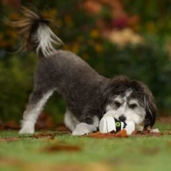 Frisco Halloween Mummy Latex Squeaky Dog Toy -The Pet Haven Shop 344140 PT3. AC SS1800 V1657657042