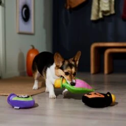 Frisco Halloween Potion Bottles Plush Squeaky Dog Toy 9 Frisco Halloween Potion Bottles Plush Squeaky Dog Toy -The Pet Haven Shop 344144 PT3. AC SS1800 V1657657048