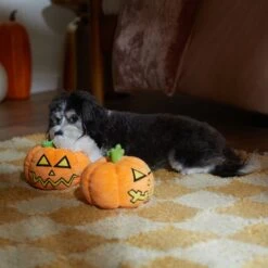 Frisco Halloween Scary Jack-O-Lantern Plush Squeaky Dog Toy -The Pet Haven Shop 344158 PT3. AC SS1800 V1657657048