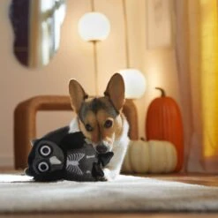 Frisco Halloween Spooky Owl Plush Squeaky Dog Toy -The Pet Haven Shop 344162 PT3. AC SS1800 V1657657049