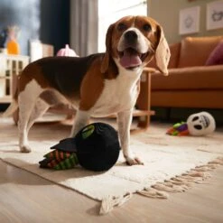 Frisco Halloween Succulents Plush Squeaky Dog Toy 9 Frisco Halloween Succulents Plush Squeaky Dog Toy -The Pet Haven Shop 344164 PT3. AC SS1800 V1657657049