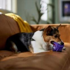 Frisco Halloween Vampire Latex Squeaky Dog Toy 8 Frisco Halloween Vampire Latex Squeaky Dog Toy -The Pet Haven Shop 344166 PT3. AC SS1800 V1657657049