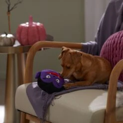 Frisco Halloween Vampire Round Plush Squeaky Dog Toy -The Pet Haven Shop 344168 PT3. AC SS1800 V1657657049