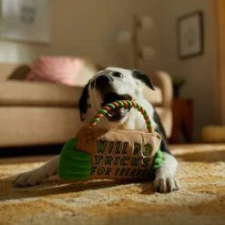 Frisco Halloween "Will Do Tricks For Treats" Sign Plush With Rope Squeaky Dog Toy -The Pet Haven Shop 344172 PT3. AC SS1800 V1657657049