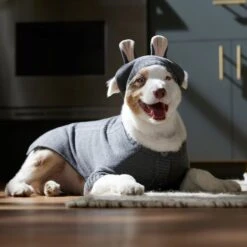 Frisco Bunny Hooded Dog & Cat Sweater -The Pet Haven Shop 353571 PT6. AC SS1800 V1660749538