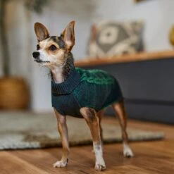 Frisco Multi Cable Dog & Cat Sweater -The Pet Haven Shop 353628 PT7. AC SS1800 V1660749923