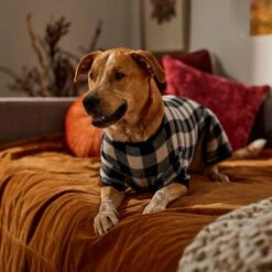 Frisco Plaid Dog & Cat Fleece Pajamas -The Pet Haven Shop 353755 PT6. AC SS1800 V1660749967