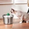 Frisco Stainless Steel Cactus & Leaf Dog & Cat Fountain -The Pet Haven Shop 355814 MAIN. AC SS1800 V1665684257