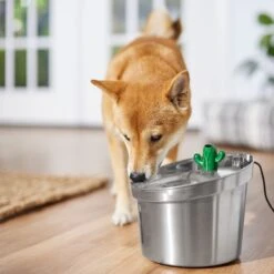 Frisco Stainless Steel Cactus & Leaf Dog & Cat Fountain -The Pet Haven Shop 355814 PT5. AC SS1800 V1665683869
