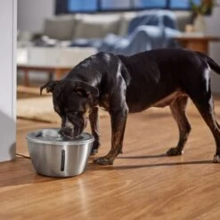 Frisco Stainless Steel Heart Dog & Cat Fountain 14 Frisco Stainless Steel Heart Dog & Cat Fountain -The Pet Haven Shop 355816 PT5. AC SS1800 V1665684540