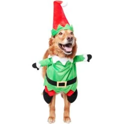 Frisco Front Walking Elf Dog & Cat Costume -The Pet Haven Shop 357956 PT3. AC SS1800 V1660760416