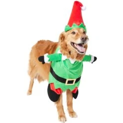 Frisco Front Walking Elf Dog & Cat Costume -The Pet Haven Shop 357956 PT4. AC SS1800 V1660757458