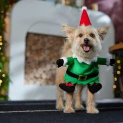 Frisco Front Walking Elf Dog & Cat Costume -The Pet Haven Shop 357956 PT7. AC SS1800 V1661799329