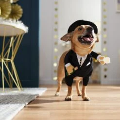 Frisco Front Walking New Years Tuxedo Dog & Cat Costume -The Pet Haven Shop 358028 PT7. AC SS1800 V1661799888