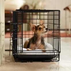 Frisco Adjustable Electrical Dog & Cat Heated Crate Mat With Timer -The Pet Haven Shop 358546 PT5. AC SS1800 V1662500981