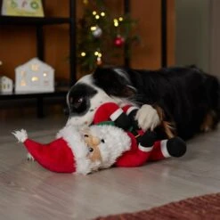 Frisco Holiday Santa Claus Plush Squeaky Dog Toy 9 Frisco Holiday Santa Claus Plush Squeaky Dog Toy -The Pet Haven Shop 360914 PT3. AC SS1800 V1661874178