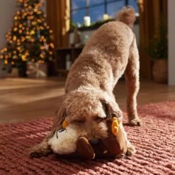 Frisco Holiday Festive Owl Plush Squeaky Dog Toy 8 Frisco Holiday Festive Owl Plush Squeaky Dog Toy -The Pet Haven Shop 360919 PT3. AC SS1800 V1661874361