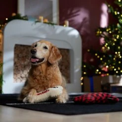 Frisco Holiday "Happy Pawlidays" Bone Plush Squeaky Dog Toy, Medium, 2 Count -The Pet Haven Shop 360942 PT3. AC SS1800 V1661874360