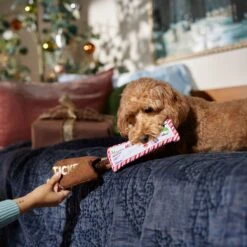 Frisco Holiday Home For The Holidays Airline Ticket Bungee Plush Squeaky Dog Toy -The Pet Haven Shop 360966 PT3. AC SS1800 V1661874362