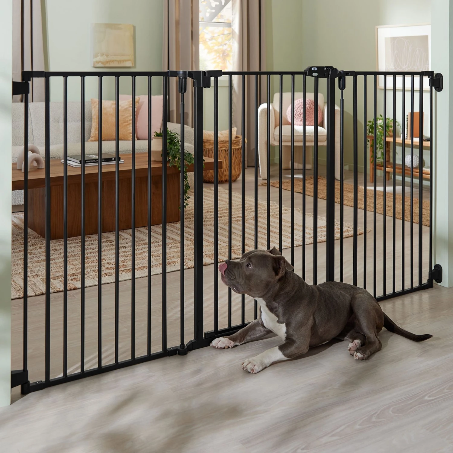 Frisco Steel 3-Panel Configurable Gate, 41-in Height 3 Frisco Steel 3-Panel Configurable Gate, 41-in Height