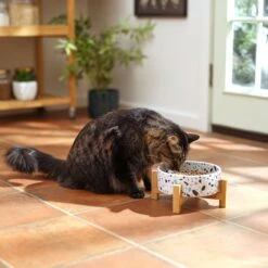Frisco Elevated Terrazzo Non-skid Ceramic Bowl With Bamboo Stand -The Pet Haven Shop 363375 PT3. AC SS1800 V1658182548