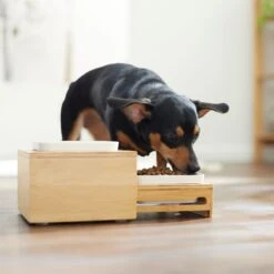 Frisco Elevated Non-Skid Bamboo Melamine Bowl Double Diner With Bamboo Stand 9 Frisco Elevated Non-Skid Bamboo Melamine Bowl Double Diner With Bamboo Stand -The Pet Haven Shop 363385 PT5. AC SS1800 V1657657267