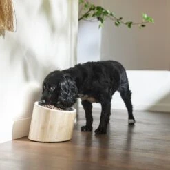Frisco Elevated Slanted Bamboo Melamine Non-Skid Dog Bowl With Bamboo Stand -The Pet Haven Shop 363387 PT2. AC SS1800 V1657657267