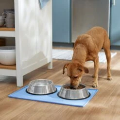 Frisco Silicone Dog & Cat Food Mat, Blue -The Pet Haven Shop 363399 PT2. AC SS1800 V1660750522