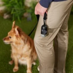 Frisco Dog Poop Bag Dispenser, 15 Count 15 Frisco Dog Poop Bag Dispenser, 15 Count -The Pet Haven Shop 363846 PT5. AC SS1800 V1669100746