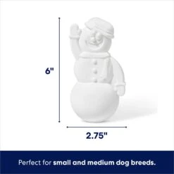 Frisco Nylon Snowman Dog Chew Toy, Mint Flavor 8 Frisco Nylon Snowman Dog Chew Toy, Mint Flavor -The Pet Haven Shop 368820 PT1. AC SS1800 V1694812399