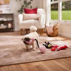 Frisco Valentine Rope, TPR & Plush Variety Pack Dog Toy -The Pet Haven Shop 371077 PT3. AC SS1800 V1668737456