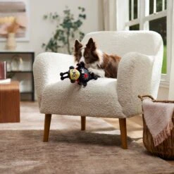 Frisco Valentine Jammin' Ladybug Plush Squeaky Dog Toy 10 Frisco Valentine Jammin' Ladybug Plush Squeaky Dog Toy -The Pet Haven Shop 371083 PT3. AC SS1800 V1668737455