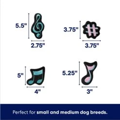 Frisco Valentine Love Song Record Player Hide & Seek Puzzle Plush Squeaky Dog Toy -The Pet Haven Shop 371087 PT2. AC SS1800 V1701364927