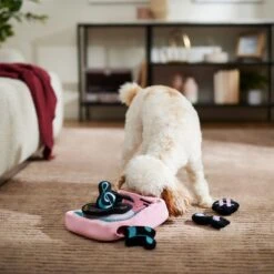 Frisco Valentine Love Song Record Player Hide & Seek Puzzle Plush Squeaky Dog Toy -The Pet Haven Shop 371087 PT3. AC SS1800 V1668737233